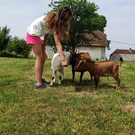 Farmház Smrekarjeva Domacija Postojna