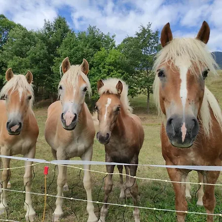 Smrekarjeva Domacija * Постойна