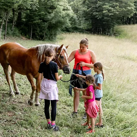 Farm stay Smrekarjeva Domacija