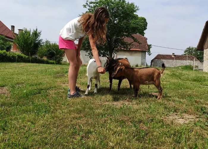 مزرعة للإقامة Smrekarjeva Domacija بوستوينا