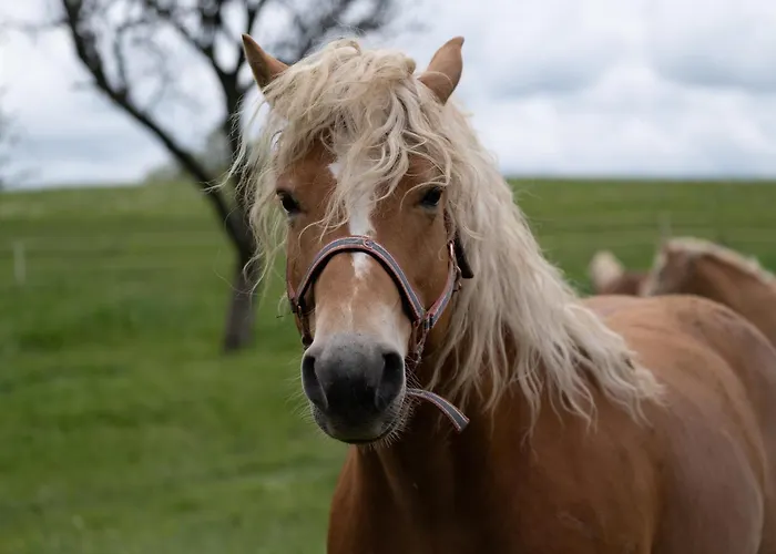 مزرعة للإقامة Smrekarjeva Domacija بوستوينا